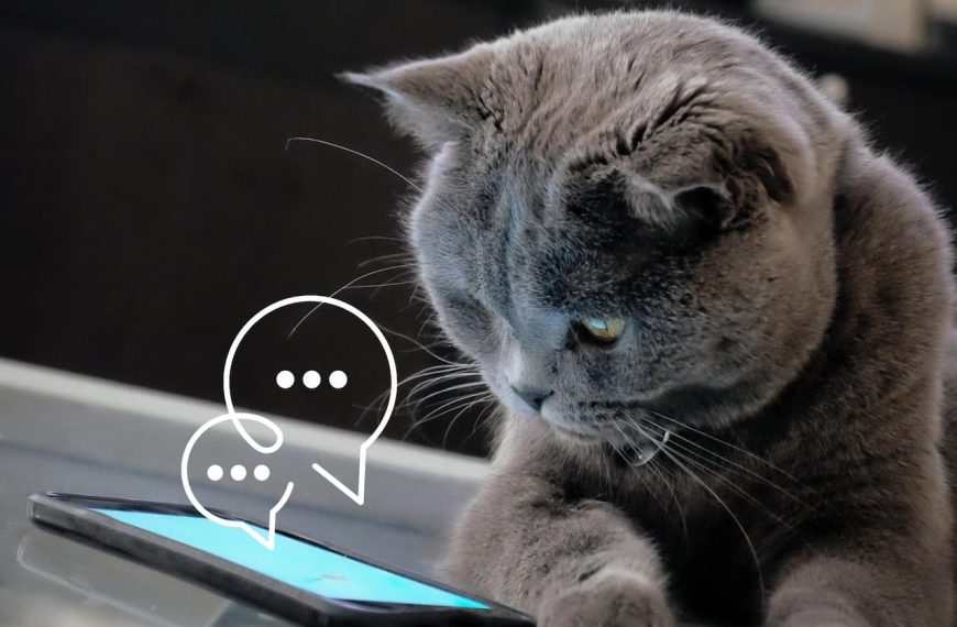 Case Study: Development of Mobile Chat Widget (SDK) for Casino Mate